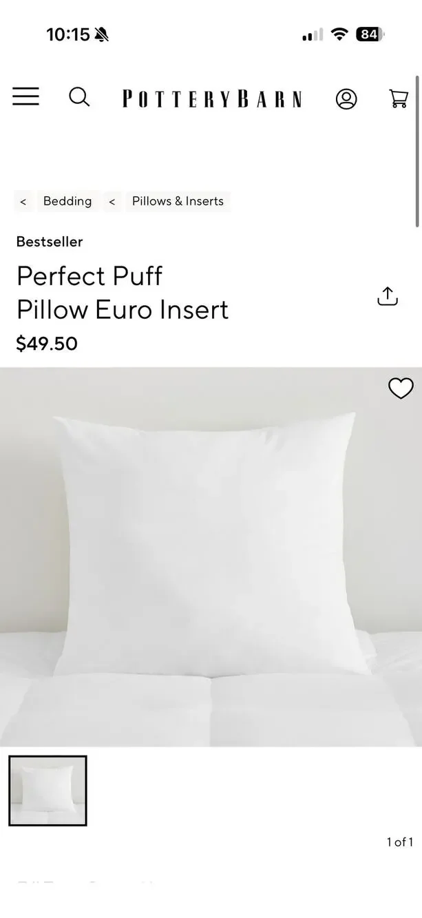 Pottery Barn Euro Pillow Insert 26x26 Down Alternative Hypoallergenic USA